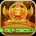 2022 world cup cricket Premium Plus v1.7.5