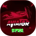 9pkr Premium vv3.9.0