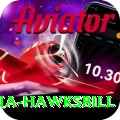 antigua hawksbill Plus Pro v4.5.8