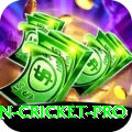australian cricket Ultimate APK v5.5.7