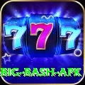bbl big bash apk Games (Casino & Earning) Pro v1.6.1
