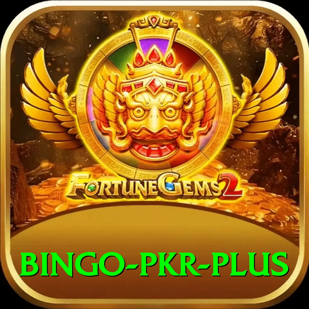 Bingo PKR - Champion Earning App - 2