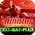 cricket bat Casino VIP v2.4.1