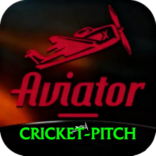 cricket pitch Plus - 2