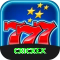 crickex Master vv4.6.6