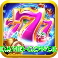 david gower Turbo Pro v1.3.8