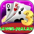 dawid malan VIP Edition v4.3.0