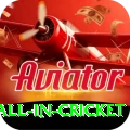 fastest ball in cricket Premium Edition v3.1.4