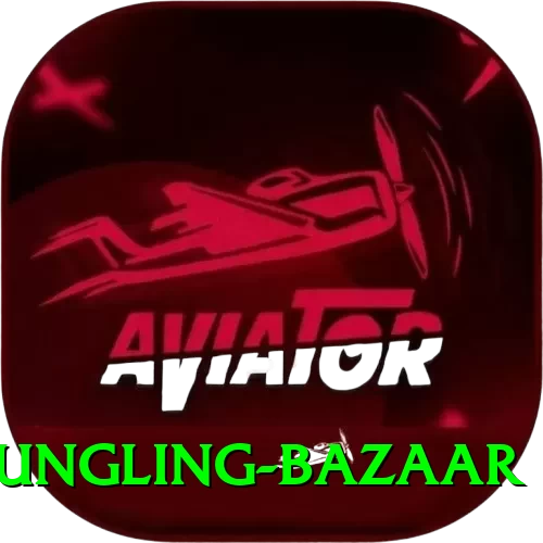 fungling bazaar VIP Pro v5.0.8 - 2