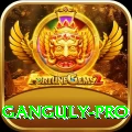 ganguly Casino VIP v4.8.6