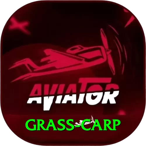 grass carp Gold Edition v3.5.8 - 2