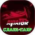 grass carp Gold Edition v3.5.8