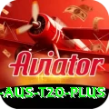 ind aus t20 Official v1.3.8