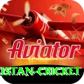 india pakistan cricket Ultimate Pro v2.9.8