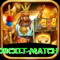 india pakistan cricket match Ultimate Pro v4.4.2