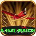 india test match Premium Edition v2.6.5