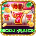 international cricket match Plus v2.2.0