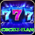 ireland cricket team Plus Edition v2.3.0