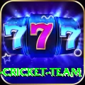 mumbai cricket team Apps (Tools & Injectors) Max v2.6.0