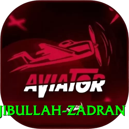 najibullah zadran Master v4.2.5 - 2