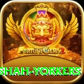 naseem shah yorkers Max v3.6.0
