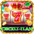netherlands cricket team Turbo v1.7.4