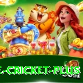 one cricket - Live Pro