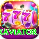 pakaviator VIP vv5.5.9