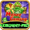 pakrummy Money Turbo v2.5.4