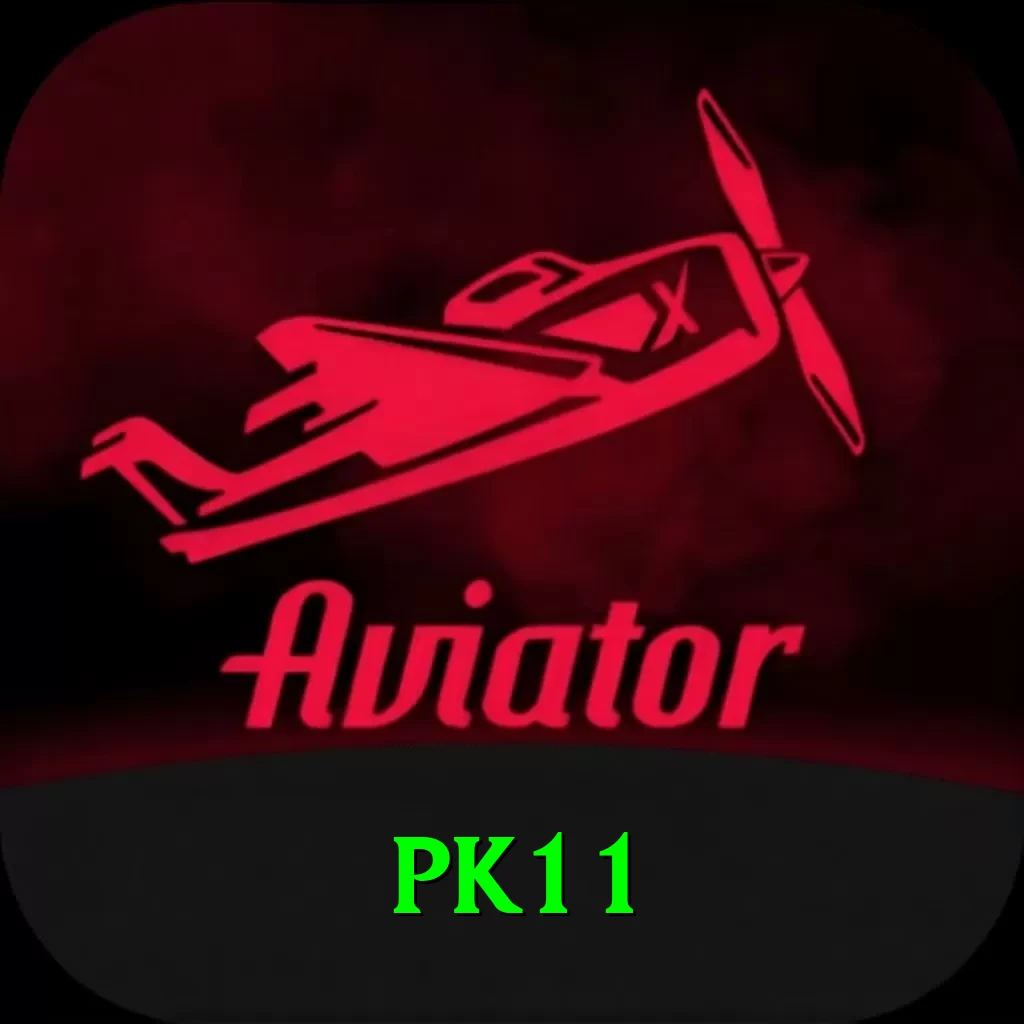 pk11 Pro Edition v2.9.2 - 2