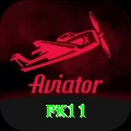 pk11 Pro Edition v2.9.2