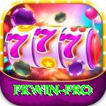 pkwin Max Pro v2.6.0