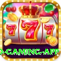 PKZ Casino Turbo Gaming App