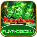 play cricket Pro1 v1.0.6