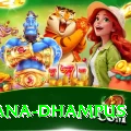 pothana dhampus VIP Pro v5.2.4