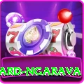 richard ngarava VIP Edition v3.6.9
