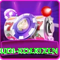 rudi koertzen Max Pro v5.9.5