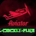 smartcric live cricket King Gaming App