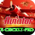 sports cricket - Champion Earning App