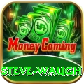 steve waugh VIP Edition v4.1.2