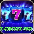 test cricket Game Ultimate v2.6.1