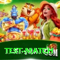 test match VIP Pro v1.9.8