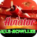 wicket hauls bowlers Apps (Tools & Injectors) Deluxe v2.6.4