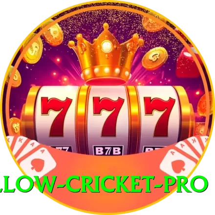 willow cricket Prime PK v4.9.7 - 2