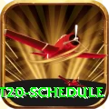 world cup t20 schedule Gold v5.3.2