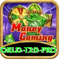 world t20 Casino Official v4.0.8